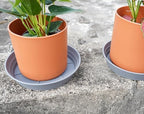 LWALRS Plant Saucer 14 Inch 4 Pack 6 8 10 12 14 16 18 20 25, Plastic Plant Trays for Pots，Extra-Deep Plant Water Dray Tray, Bird Bath Bowl, Heavy Flower Plant Saucers Indoors and Outdoor No Holes - Image 6