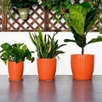 12 Inch Plant Pot, Ceramic Planters for Plants with Drainage and Saucer, Orange - Image 7