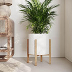EverNest Claire Minimalist White Plant Pot with Kinsley Wood Stand, Indoor Mid-Century Planter, SelectBase, Modern Plant Holder, Boho Style Home Décor Pots (Large, 3 Gallon) - Image 3