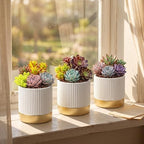 Set of 3 Cement Planter Pots with Drainage Hole,4 inch Plant Pots for Plants Indoor Houseplants,Succulent Pots Windowsil Planter (White&Gold) - Image 4