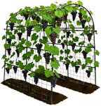 Garden Arch Trellis for Climbing Plants Outdoor - 83" H*71" W*43" L (Black) by TrellumeGardenHome