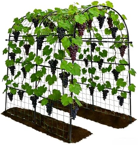 Garden Arch Trellis for Climbing Plants Outdoor - 83" H*71" W*43" L (Black) by TrellumeGardenHome