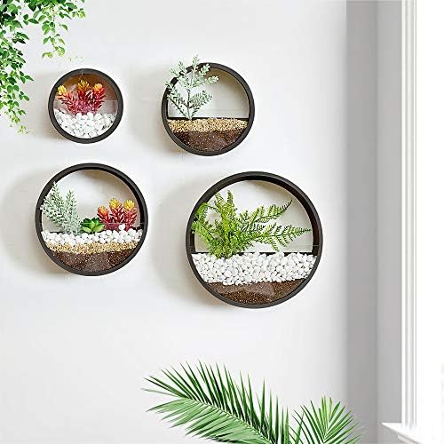 Pack of 4 Round Wall Planters Hanging Metal Plant Containers Circle Plant Holder Contemporary Morden Circle Iron Vase for Succulents or Herbs Cactus and More (Black) - Image 4
