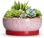 Ceramic Succulent Planter, 8 Inch Bonsai Pots with Tray, Texture Red by Unknown