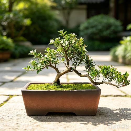 MUZHI Decorative Ceramic Bonsai Planter Pot 8.5 Inch with Tray, Breathable Unglazed Rectangle Terracotta Clay Pot for Tree Succulent Cactus Indoor Outdoor Red Brown (2Pcs Rectangle 6") - Image 6