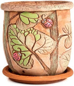 STP GOODS Ceramic Pot with Drainage Hole and Saucer, Plant Pots, Modern Decorative Planters for House Plants Indoor Flowers Plants, Cute Flower Pot - Gifts (Ladybugs (1.6 L)) by STP-Goods