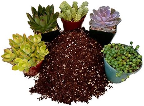 Fat Plants San Diego Premium Cacti and Succulent Potting Mix Soil - Image 3