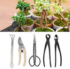 5Pcs Bonsai Tool Set Carbon Steel Bonsai Scissors, Rake, Branch Cutter, Pruning Shears, and Pliers for Bonsai Shaping, Gardening, and Plant Maintenance Kit - Image 3