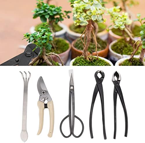 5Pcs Bonsai Tool Set Carbon Steel Bonsai Scissors, Rake, Branch Cutter, Pruning Shears, and Pliers for Bonsai Shaping, Gardening, and Plant Maintenance Kit - Image 3