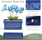 EFISPSS 10 Inch Orchid Pot, Ceramic Orchid Pots with Holes, Indoor Flower pots with Drainage and Saucer, Plant Pots Enhance Good Ventilation - Blue - Image 4