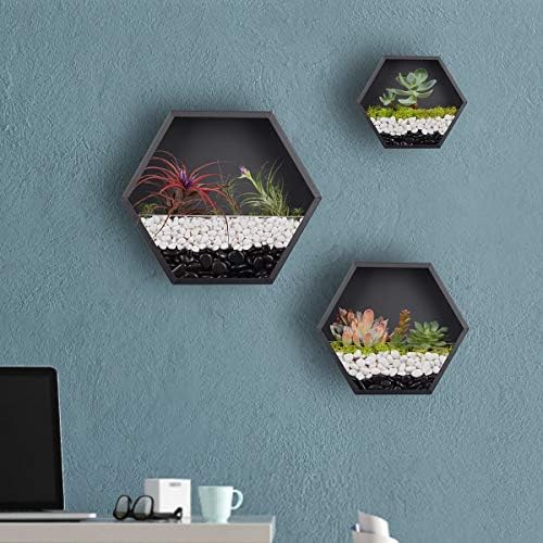 Hanging Hexagon Basket Hanging Wall Planters Metal Vase Retro Air Plant Holder Vintage Flower Pot Iron Geometric Planter Succulent Cactus Container for Wall Decor, Mixed Set of 3 (Black) - Image 3