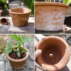 2/3 Pack Terracotta Planter, Breathable Clay Flower Pots, Red Clay Terracotta Plant Pots with Drainage, Indoor Outdoor Terracotta Flower Pot for Home Garden Plant Planting/12+16+20Cm - Image 5