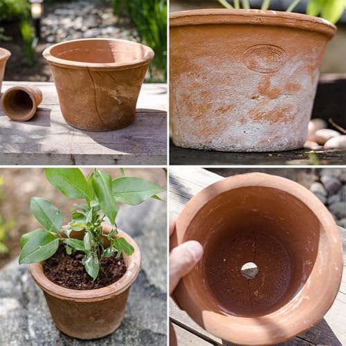 2/3 Pack Terracotta Planter, Breathable Clay Flower Pots, Red Clay Terracotta Plant Pots with Drainage, Indoor Outdoor Terracotta Flower Pot for Home Garden Plant Planting/16Cm - Image 6