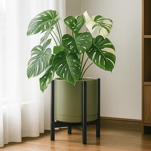 D'vine Dev Ceramic Pot with Ebony Wood Stand, Olive, 14 in, 55-B-S-J - Image 4