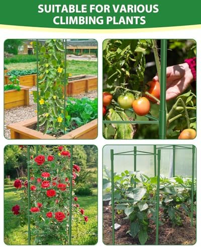 MYMULIKE 6 Pack Tomato Cages for Garden, 51in*13in Adjustable Tomatoes Plant Stakes Support Cages Trellis, Garden Trellis for Vegetable Flowers Fruits Climbing Plants- 20 Binding Wires Included - Image 5