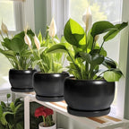 SQOWL Ceramic Plant Pots - 8 Inch Planter Indoor, Round Flower Pot with Drainage Hole and Saucer, Modern Outdoor Planter, Apartment Decor, Gifts for Plant Lovers, Black - Image 6