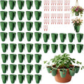 20 Pcs Strawberry Propagation Cups,Strawberry Rooting Cup Kit with Runner Forks Green Plastic Propagation Cups with Hook,Hanging Transplant Grow Station for Garden Greenhouse Balcony Planting (50 S) by Unknown