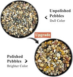 FANTIAN Pea Gravel for Landscaping, 10 lbs Aquarium Gravel Rocks, 1/4 Inch - Image 3