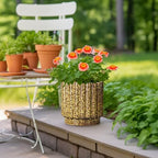 Ceramicfor Ceramic Planter, 9.6 Inch, Yellow - Image 2