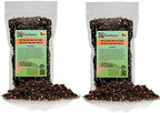 Gardenera Fern + Perlite Soil Mix - 10 Quart - for Repotting and Planting Succulents and Cactuses (2 Bags of 5 Quart) by Gardenera