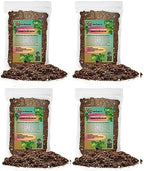 Gardenera Scindapsus Sterling Potting Mix - Unlock Robust Growth and Stunning Leaves with Our High-Performance Formula - 20 Quart by Gardenera