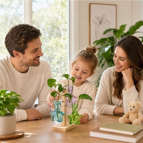 Nacome Plant Terrarium Propagation Stations: Colored Vase with Wooden Stand - Image 2