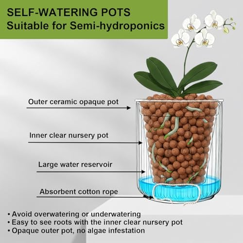 Ceramic Orchid Pot, Clear Nursery Pot & self Watering,5 inch,Black - Image 6