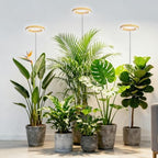 Kullsinss 6.3in Grow Lights for Indoor Plants, Full Spectrum Plant Light by HOME