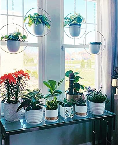 2 Pack Hanging Planter with 5.5" Pot, Metal Hanging Plant Holder - Image 2