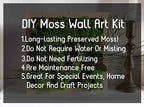 Bulk Wholesale Preserved Sheet Moss Sheet Moss Bun Moss Cushion Moss Natural Green Decorative Real Terrariums(10 sq.ft.) (Green-B) - Image 7
