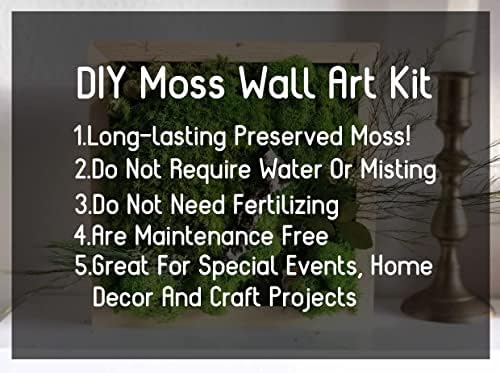 Bulk Wholesale Preserved Sheet Moss Sheet Moss Bun Moss Cushion Moss Natural Green Decorative Real Terrariums(10 sq.ft.) (Green-B) - Image 7
