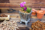 SuperMoss 7 59834 22303 0 Orchid Sphagnum Moss, 1400 in3 Bag (Appx. 32oz), Natural White - Image 6