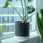 Phoenix Vine 10 Inch Plastic Plant Saucer Water Drip Tray, Heavy Sturdy Round Plant Drainage Tray for Indoors Outdoor, Set of 2, Matte White, 21-TY-10W-2 - Image 5