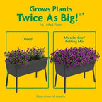 Miracle-Gro 3 Pack Potting Soil Mix for Container Plants, Flowers, Vegetables, Shrubs, Annuals, and Perennials, Feeds for Up to 6 Months, 2 Cu Ft - Image 5