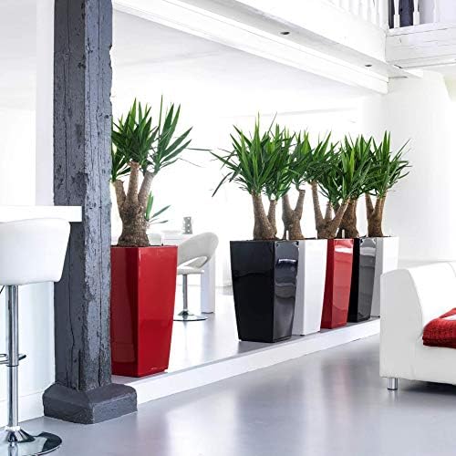 Lechuza CUBICO 40 Cream White High Gloss, Self-Watering Tall Planter, H29.5 L15.7 W15.7 in - Image 4