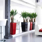 Lechuza CUBICO 40 Cream White High Gloss, Self-Watering Tall Planter, H29.5 L15.7 W15.7 in - Image 4
