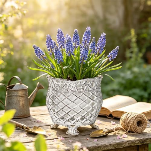 Sungmor Vintage Cast Iron Urn Planter with Non-Woven Bag, Vintage White - Image 7