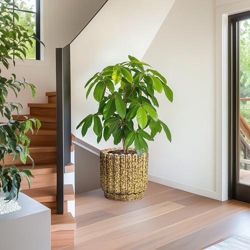 Ceramicfor Ceramic Plant Pots - 12 Inch Planter with Drainage Hole, Large Ceramic Flower Pots for Indoor Plants, Round Planter Outdoor, Living Room Decor, Gifts for Plant Lovers, Yellow - Image 5