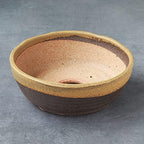 Wazakura Shigaraki Series Yellow Dust Stripe Glazed Ceramic Bonsai Pot - Image 6
