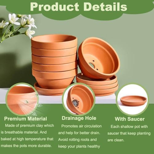 5 Inch Shallow Terracotta Pot for Succulent - 6 Pcs Small Shallow Plant Pots with Drainage Hole and Saucer Mesh Pad, Clay Plant Pottery Pots for Cactus Succulent and Other Indoor Outdoor Plants - Image 3