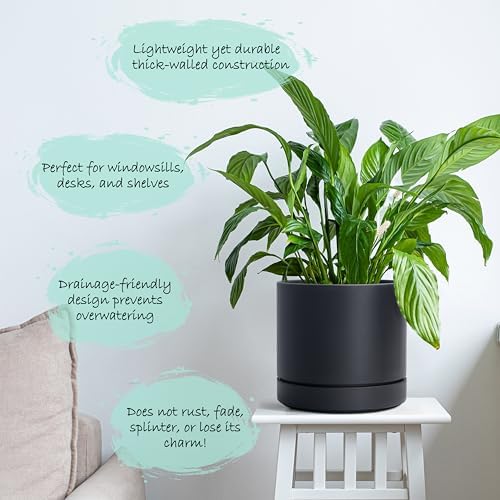 Phoenix Vine 6 Inch Planter Pot with Drainage Hole & Saucer, Deep Water Catch Tray, Straight Cylindrical Round Pot for Plants, Matte Black, Pack of 2, 23-C-S-2 - Image 5