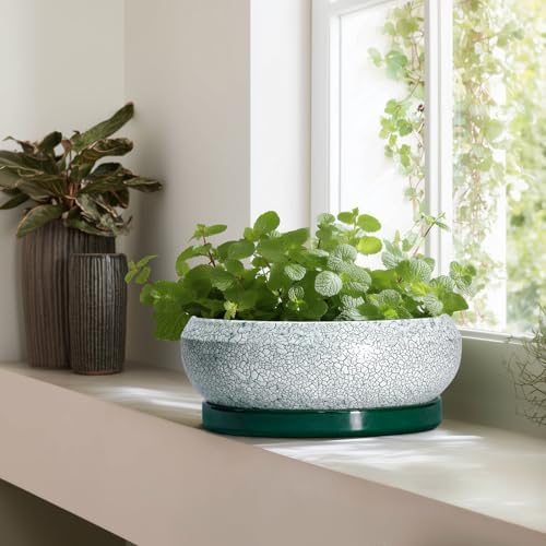 Bonsai Pots 13 Inch - Shallow Ceramic Planter with Drainage Hole and Saucer, Round Succulent Pots for Indoor Outdoor, Large Succulent Planter, Apartment Decor, Gardening Gifts, Green - Image 6