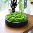 NAHARO New Moss Bowl,8''Handmade Cement Bowl–Artificial Moss Centerpiece for Home Decoration, Living Room, Office, or Coffee Table Display - Image 2