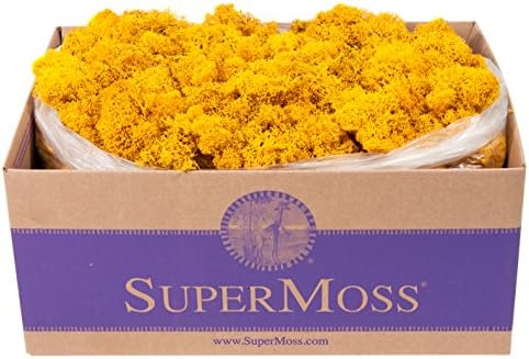 SuperMoss (25151) Reindeer Moss – Soft Preserved Moss for Home Decor, Crafts, Terrariums, Floral Design, and Wedding Decorations, 1,564 cu in, Mango by SuperMoss