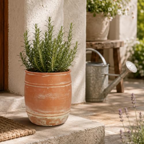 11"H x 9.5" Dia Aged Terracotta Clay Planter Pot with Drainage Hole, Rustic Farmhouse Style Flower Pot with Distressed Finish, Vintage Decorative Planter for Indoor Outdoor Garden, Patio, Porch - Image 7