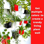 LaLaGreen Indoor Wall Planter (4 in, 6 Pack) Black Square Metal Wall Decor - Image 6