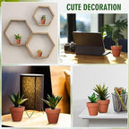 Sliner 150 Pcs Small Clay Pots 2 Inch Terracotta Plant Pots Plant Planters Bulk with Drainage Hole Mini Terra Cotta Cactus Flower Nursery Succulent Terracotta Planter for Indoor Outdoor Craft Wedding - Image 3