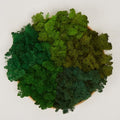 Preserved Reindeer Moss Natural Green DIY Kit Gardenning Art Wall Decor Florist Decor Easter Table Decor Wedding by %E7%8E%B0%E5%9C%A8%E8%B4%AD%E4%B9%B0