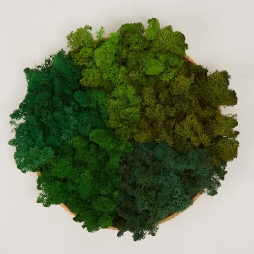 Preserved Reindeer Moss Natural Green DIY Kit Gardenning Art Wall Decor Florist Decor Easter Table Decor Wedding by %E7%8E%B0%E5%9C%A8%E8%B4%AD%E4%B9%B0