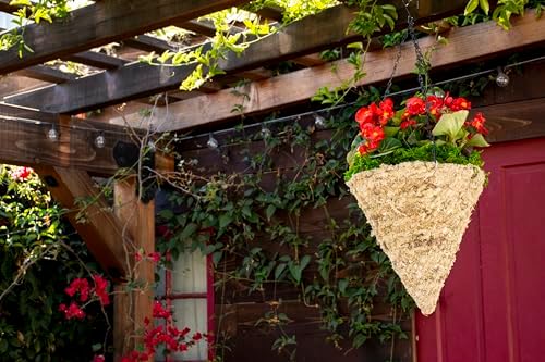 SuperMoss (29245D MossWeave Hanging Basket | Outdoor Hanging Planter with Moss | Decorative Plant Hanger for Porch, Balcony, Garden & Home Décor, Cone, Medium 12.5” D, Blond - Image 2